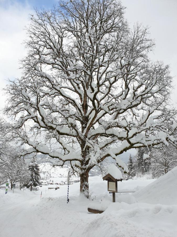 Ferienwohnungen Im Gasthof Stern Inklusive Koenigscard Unterammergau Buitenkant foto